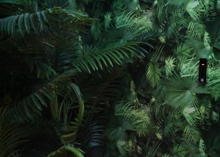 The Pod Suite Hostel Village Valencia