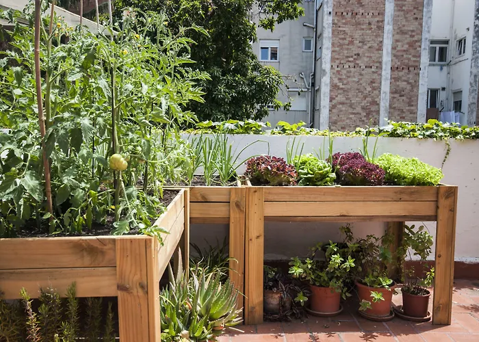 Studio Hostel Barcelona