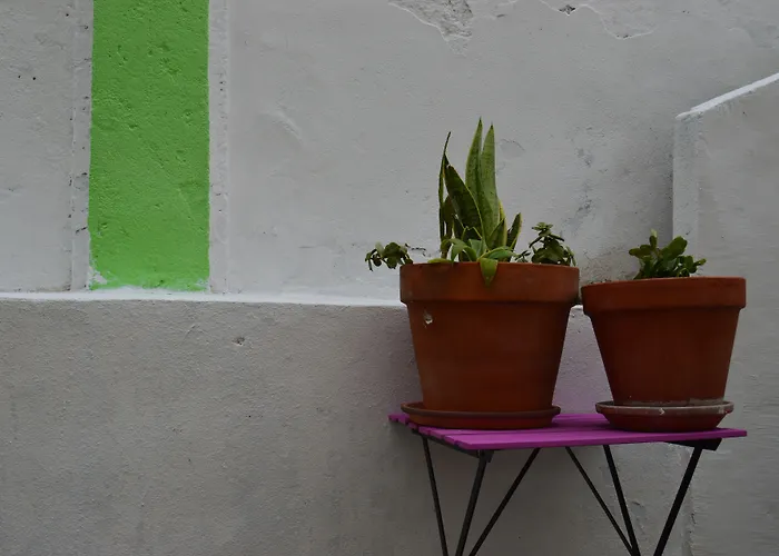 Terrace Lisbon Hostel