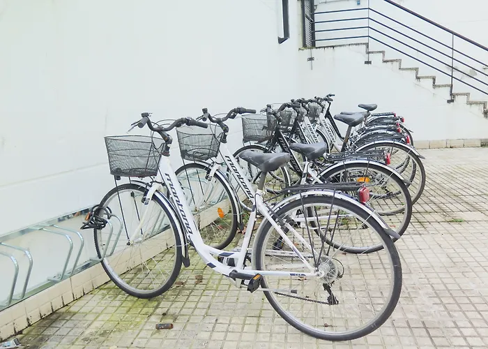 Cats Hostel San Sebastián