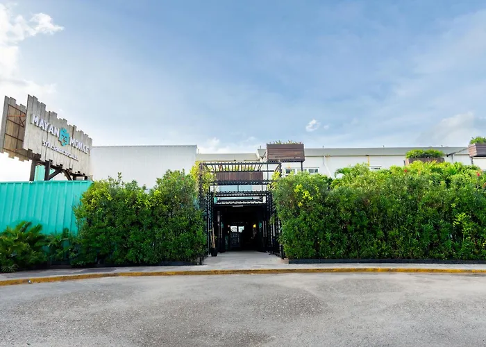 Mayan Monkey Cancun - Social Hostel