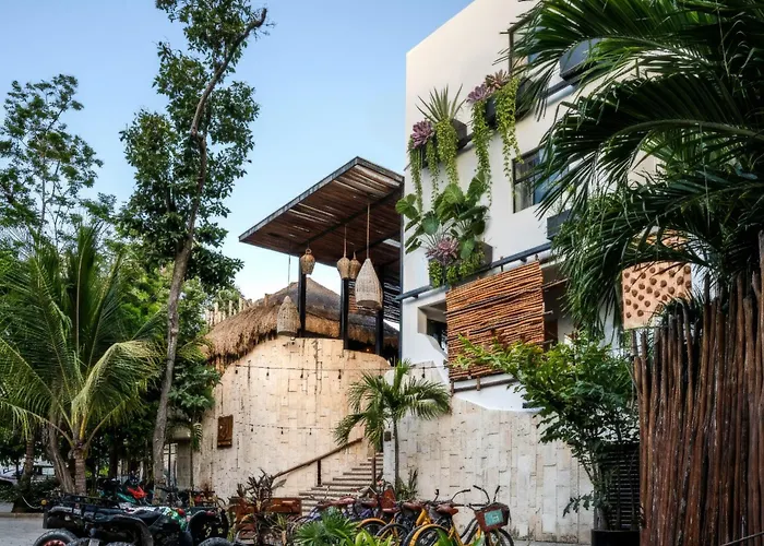 Mayan Monkey Tulum - Social Hostel (Adults Only)
