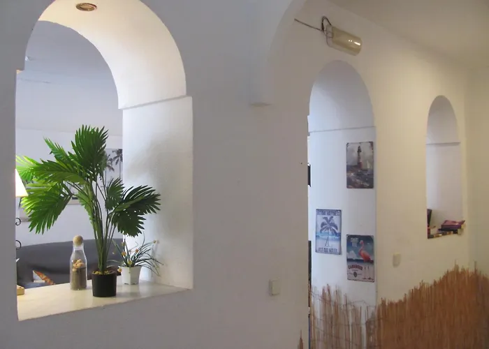 Albergue Terraza del Limonar Málaga