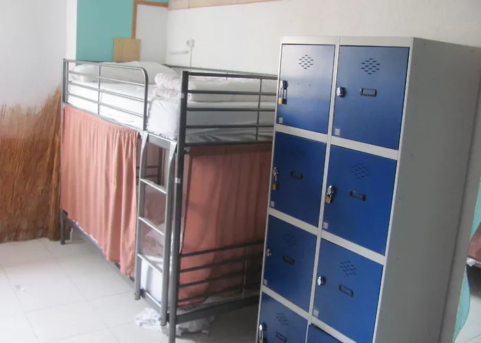 Albergue Terraza del Limonar Málaga