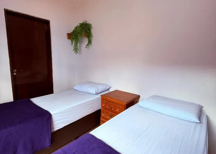 Lulle Hostel São Paulo