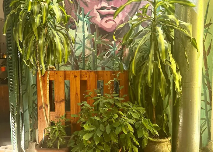 Freedom Hostel Rosario