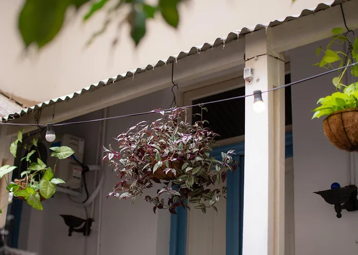 Albergue Mibaq Palermo Ciudad Autónoma de Ciudad Autónoma de Buenos Aires