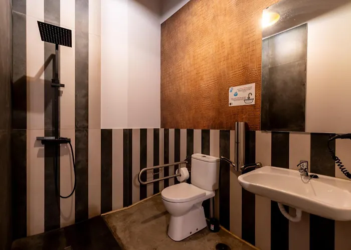 Black Swan Hostel Granada