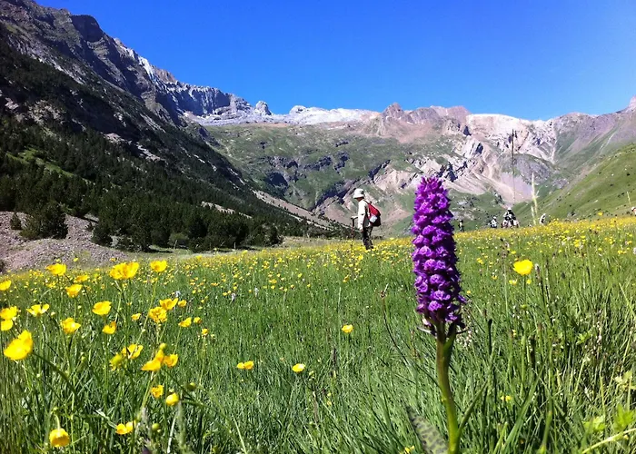 Hostel-Albergue Monte Perdido Torla-Ordesa