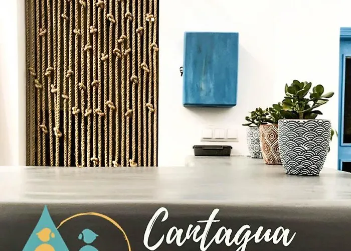 Cantagua Hostel Valencia